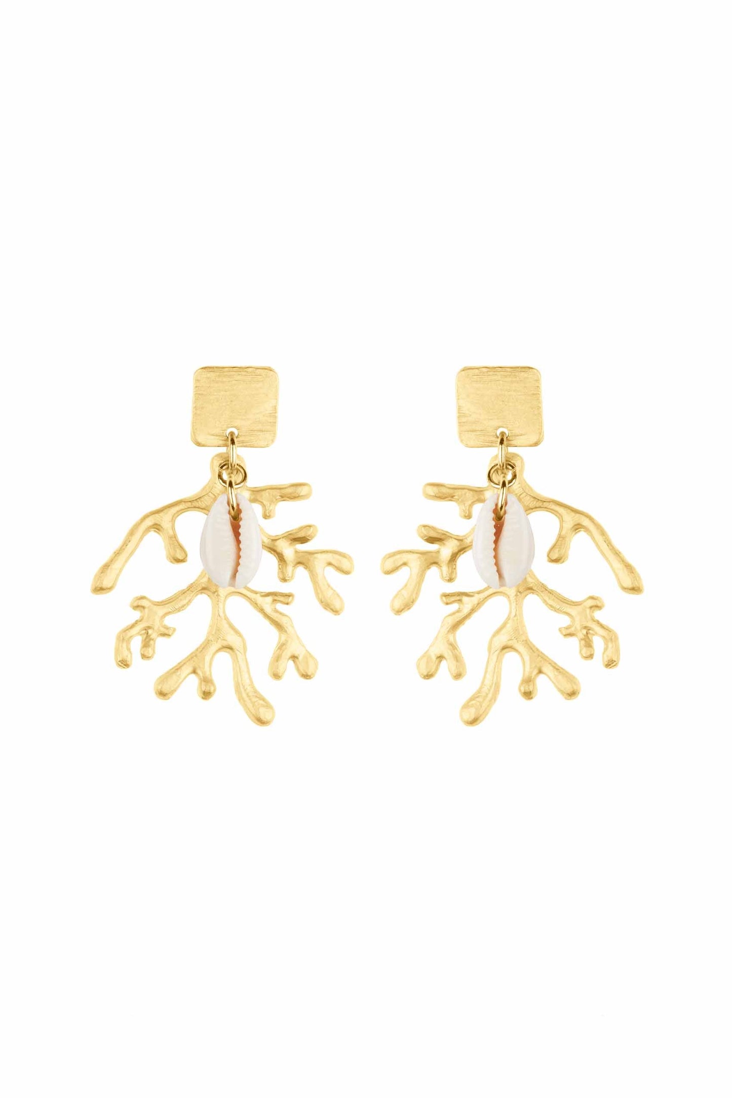 Seaweed Shell Earrings