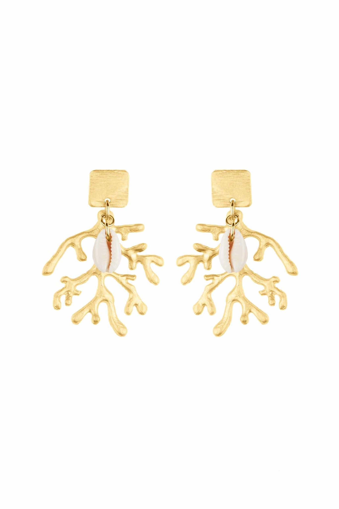 Seaweed Shell Earrings